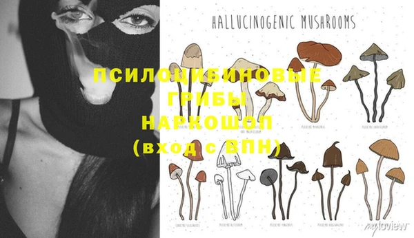 кокаин Ладушкин