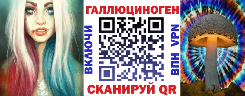 продажа наркотиков  Сольцы  Галлюциногенные грибы Psilocybe 